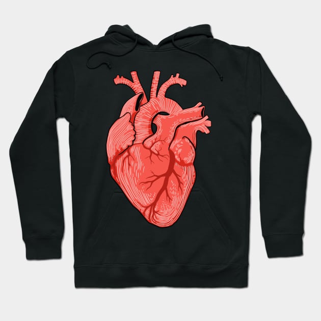 Anatomical Heart Drawing - Cardiac Surgeon Nurse Hoodie by isstgeschichte